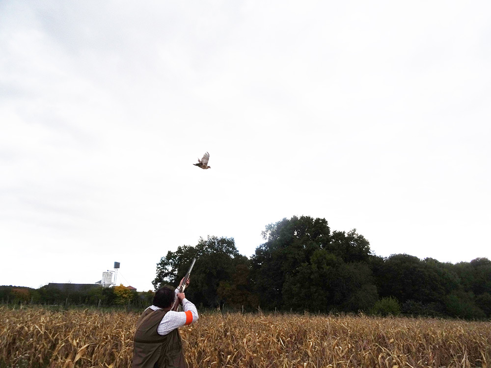 On a encore une fois tout repensé à la CHASSE DE LA PETITE VALLEE (37)