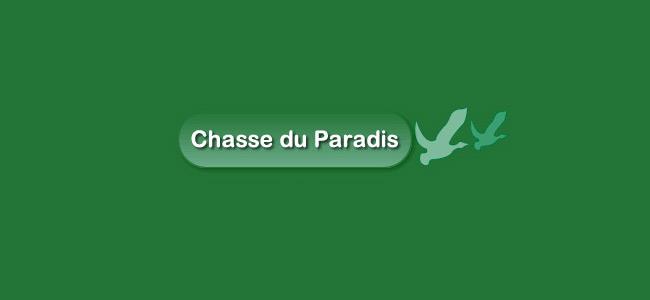 A partir de 210€ la journée – CHASSE DU PARADIS (41)