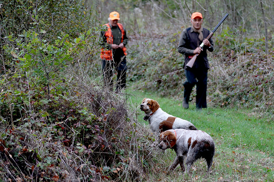 Une des plus belles chasses de la région – CHASSE DE LA GRANDE COURBE (72)