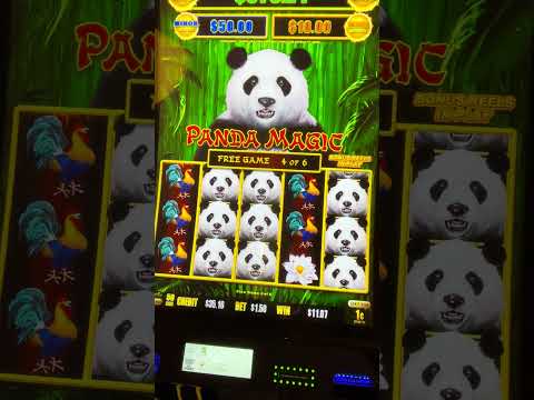 Discover the Thrills of Online Casino Spinpanda 6 Discover the Thrills of Online Casino Spinpanda 6