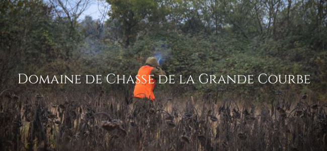 NOUVEAUTE   A partir de 200€ la journée – CHASSE DE LA GRANDE COURBE (72)