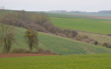 On sait s’adapter à la CHASSE DE MONTAPEINE (02)